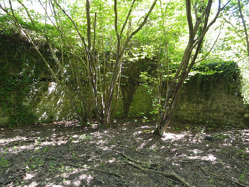 Baudelu – ruines de la ferme