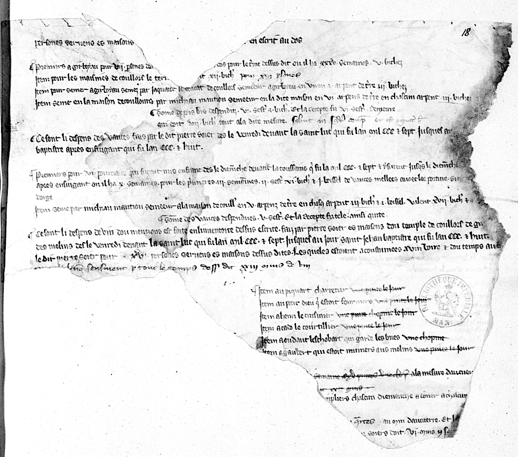 Le manuscrit 9035 (détail)